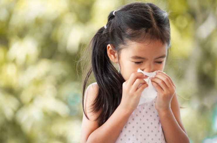 Allergies-----16